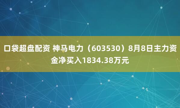 口袋超盘配资 神马电力（603530）8月8日主力资金净买入1834.38万元